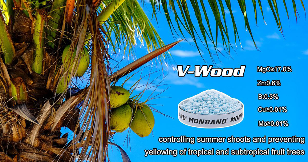 1603937832939859.jpg 3.2.jpg