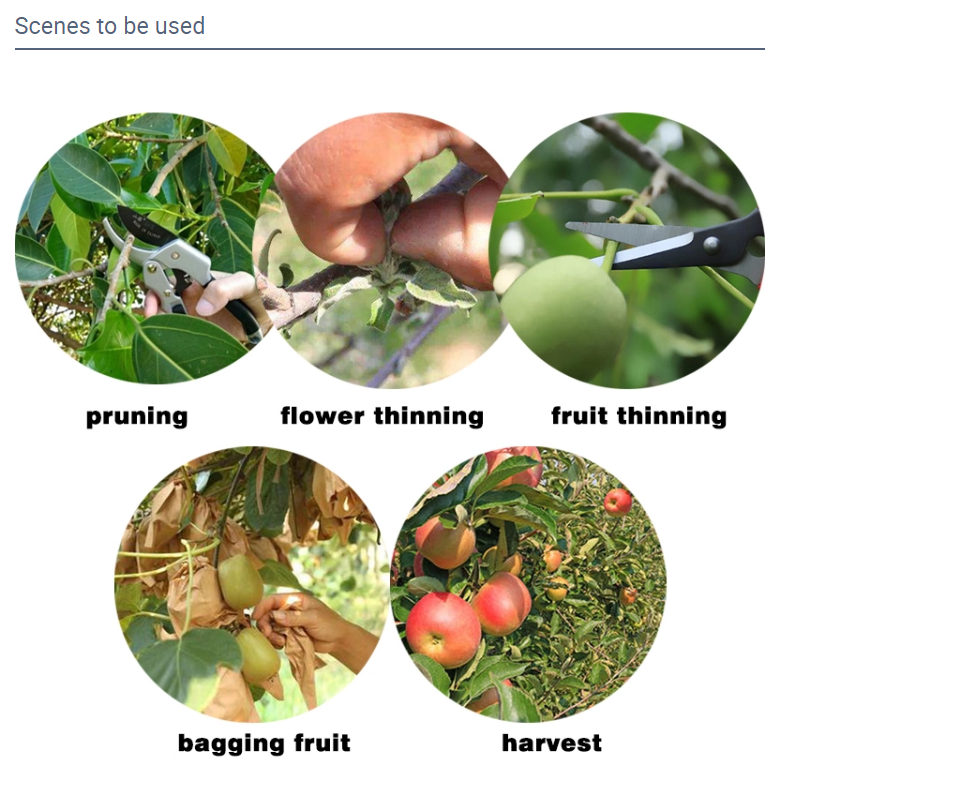 1605754229728739.png 4.png