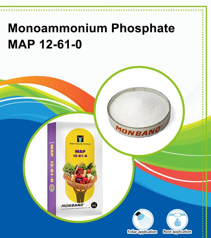 1606291070782196.jpg MAP6556.jpg