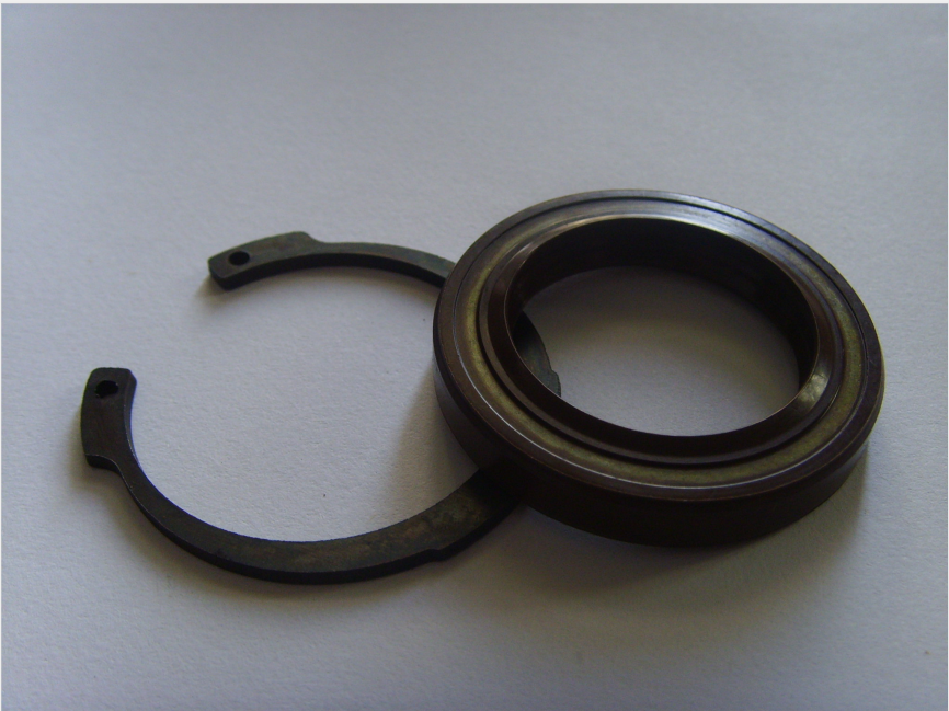 oil seal